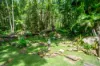 771 Left Bank Road, Mullumbimby Creek, NSW 2482-Image
