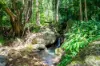 771 Left Bank Road, Mullumbimby Creek, NSW 2482-Image