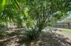 772 River Heads Road, River Heads, Qld 4655-Image