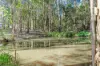 776 Sunrise Road, Tinbeerwah, Qld 4563-Image