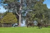 777 Ridge Road, Oakdale, NSW 2570-Image