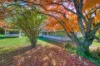 78-82 Coronation Avenue, Bright, Vic 3741-Image