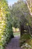 78 Amberdale Road, Houghton, SA 5131-Image
