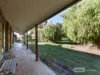 78 Banya South Road, Millicent, SA 5280-Image