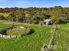 78 Banya South Road, Millicent, SA 5280-Image