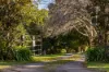 78 Burgess Avenue, Maleny, Qld 4552-Image