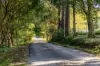 78 Burgess Avenue, Maleny, Qld 4552-Image