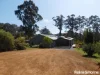 78 Cussons Road, Shadforth, WA 6333-Image