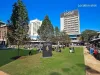 78 Doncaster Avenue, Kensington, NSW 2033-Image