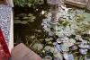 78 Eton Street, North Perth, WA 6006-Image