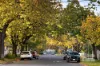 78 Fehon Street, Yarraville, Vic 3013-Image