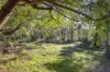 78 Glover Road, Yallingup Siding, WA 6282-Image