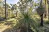 78 Glover Road, Yallingup Siding, WA 6282-Image