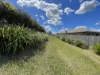 78 Judicial Circuit, Jones Hill, Qld 4570-Image
