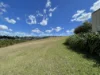 78 Judicial Circuit, Jones Hill, Qld 4570-Image