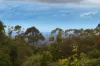 78 Magnetic Drive, Tamborine Mountain, Qld 4272-Image