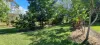 78 Mary Jane Drive, Julatten, Qld 4871-Image