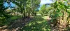 78 Mary Jane Drive, Julatten, Qld 4871-Image