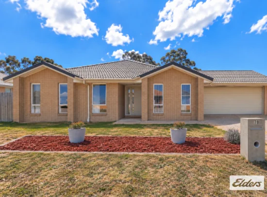 78 Maynes Street, Rosenthal Heights, Qld 4370