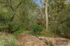 78 Murdoch Road, Wangaratta, Vic 3677-Image