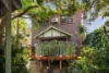 78 Roslyn Street, Ashbury, NSW 2193-Image