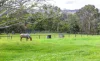 78 Spring Pastures Drive, Mapleton, Qld 4560-Image