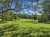 780b Gleniffer Road, Bonville, NSW 2450-Image