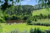 781 Nowra Road, Fitzroy Falls, NSW 2577-Image