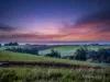 785 Cuprona Road, Cuprona, Tas 7316-Image