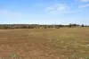 787 Stock Route Road, Robertstown, SA 5381-Image