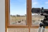 787 Stock Route Road, Robertstown, SA 5381-Image