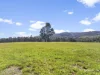 7876 Huon Highway, Strathblane, Tas 7109-Image