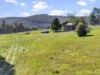 7876 Huon Highway, Strathblane, Tas 7109-Image