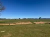 788 Soldiers Settlement Rd, Bective, NSW 2340-Image