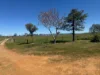 788 Soldiers Settlement Rd, Bective, NSW 2340-Image