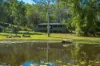 79 Arbornine Road, Glenwood, Qld 4570-Image