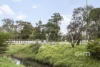 79 Devereaux Street, Oak Park, Vic 3046-Image