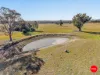 79 Ellison Road, Shelbourne, Vic 3515-Image