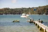 79 Florence Terrace, Scotland Island, NSW 2105-Image