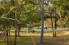 79 Gilbert Road, Lutwyche, Qld 4030-Image
