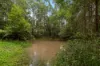 79 Highfield Rise, Pomona, Qld 4568-Image