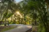 79 Highfield Rise, Pomona, Qld 4568-Image