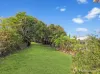 79 Leichhardt Street, Bowen, Qld 4805-Image