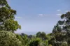 79 Tortice Drive, Ringwood North, Vic 3134-Image