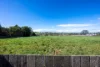79 West Goderich Street, Deloraine, Tas 7304-Image