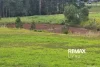 791 D'Aguilar Highway, Wamuran, Qld 4512-Image
