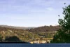 793 Pemberton Street, Albury, NSW 2640-Image