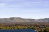 793 Pemberton Street, Albury, NSW 2640-Image