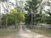 794 River Road, Tinana South, Qld 4650-Image