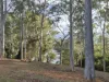794 River Road, Tinana South, Qld 4650-Image